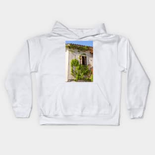 Vine on Greek house. Kids Hoodie